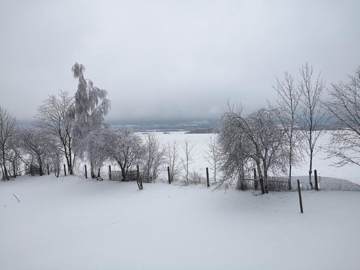 Agroturystyka Cieslarowka Lubawka Buitenkant foto